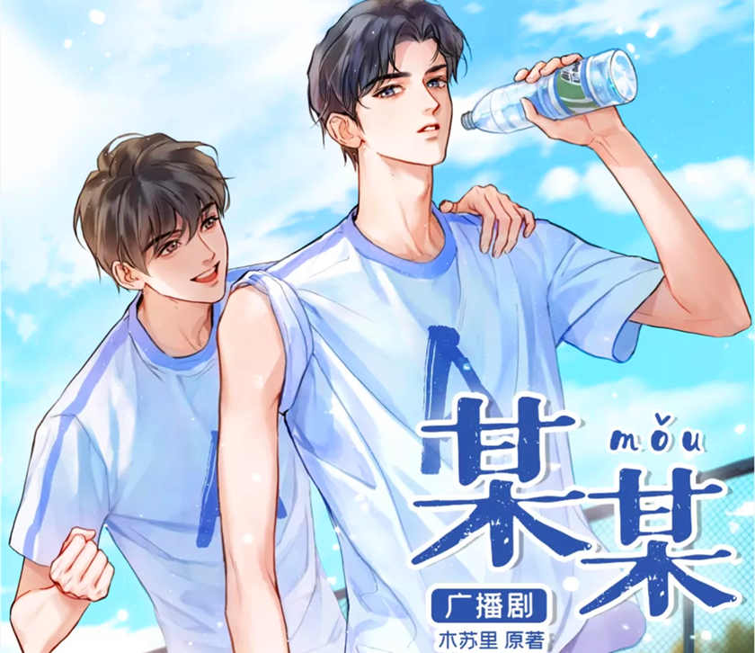 某某广播剧全集完整版免费