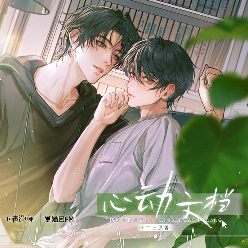 心动文档广播剧全一季完整版_十二三原著《心动文档》