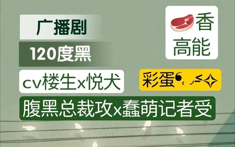 120度黑广播剧全一期资源高能未删减完整版免费听（悦犬x楼生）_《120度黑》