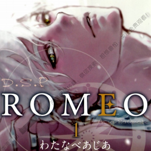 Romeo-第一卷  全本免费漫画在线阅读 _ Romeo-第一卷 家族宿命中的禁断之恋