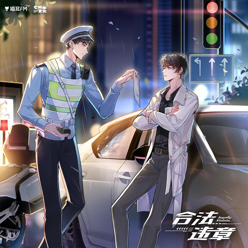 广播剧《合法违章》商配全集完整版泡芙资源免费收听